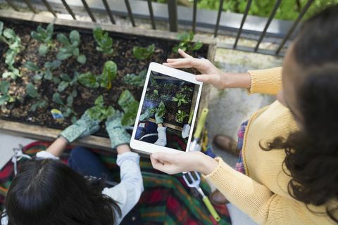 Ülaltvaatav digitaalse tahvelarvutiga tüdruk pildistab ema aiandust
