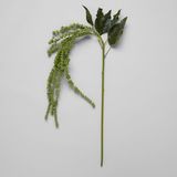 Faux Green Amaranthus pihusti