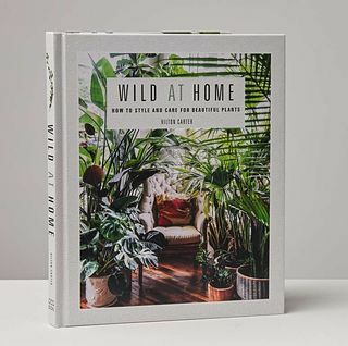 Metsik kodus: stiil ja hooldus ilusate taimede raamatu kohta