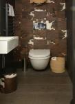 8 ideed oma allkorruse tualeti ümberkujundamiseks