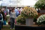 RHS Malvern Autumn Show 2022: kuupäevad, piletid, tipphetked