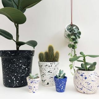 Mini Splatter Plant Pots Valige oma värvid