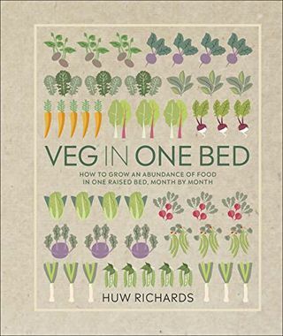 Köögiviljad ühes voodis: kuidas kasvatada toiduküllust ühes tõstetud voodis, kuude kaupa