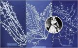 Rahvusvaheline naistepäev: Anna Atkinsi inspireeritud botaaniline tapeet on lihtsalt elegantne