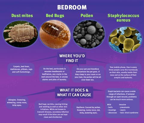 Magamistoa mikroobe - madrats võrgus
