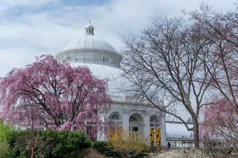 enid a Haupt konservatoorium nybg New Yorgi botaanikaaed