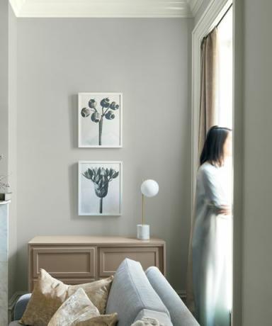 Benjamin Moore 2019. aasta värv - Metropolitan AF-690