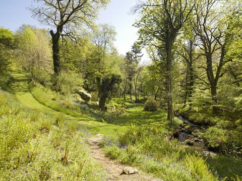 Müüa üks Dartmoori parimatest riigi elukohtadest