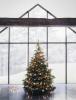New Yorgi jõulupuu teenus puhkeruumis