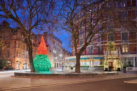 Connaught Christmas tree 2018 foto