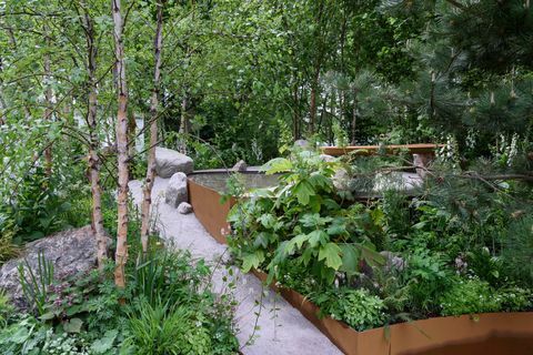 Alistair Bayfordi kujundatud Family Monsters Garden - Chelsea Flower Show 2019