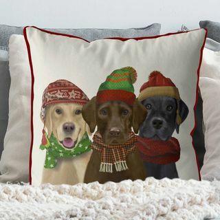 Talvised labradorid, jõulupadi