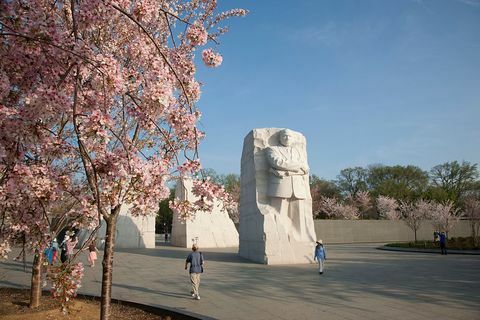 kirsiõie rahvuspargi Martin Luther King Jr memoriaal