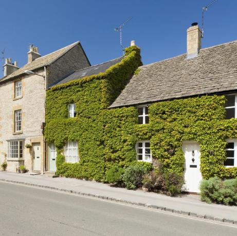 stow linn cotswoldsis, Gloucestershire'is