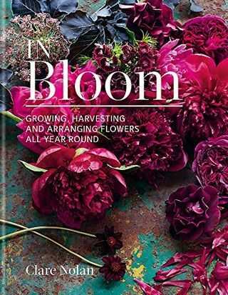 Bloomis: lillede kasvatamine, koristamine ja korrastamine aastaringselt
