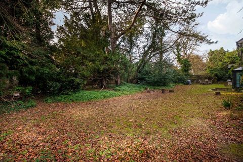 Rupert Brooke - viljapuuaed - Grantchester - aed - cheffins