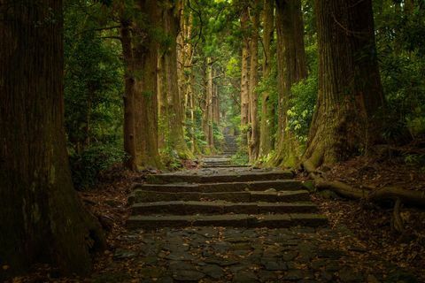 kumano kodo on kõige koledam värv