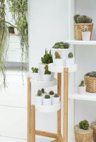 IKEA ja Indoor Garden Design lõid väljapaneku RHS Chelsea Flower Show 2017-l