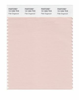 Pantone moevärvide aruanne - kevad 2017 - kahvatu koerpuu