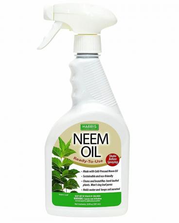 Harris Neem Oil Spray taimedele, külmpressitud kasutusvalmis, 20 untsi