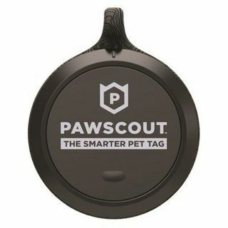 Pawscout Nutikam lemmiklooma silt