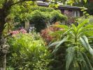 Endine aiakujundaja loob oma kodus uimastamise „olümpiaaia“