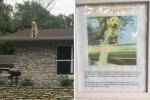 Selle perekonna märk selgitab, miks nende koer armastab katusel istuda