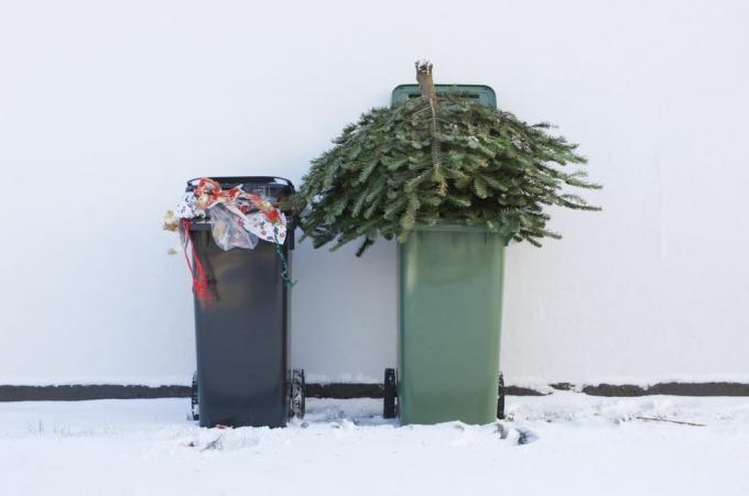 taaskasutage oma jõulupuu