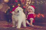 Londonisse on jõudmas täielikult koertele mõeldud jõuluturg