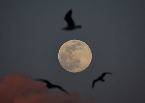 Supermoon Türgi Istanbulis